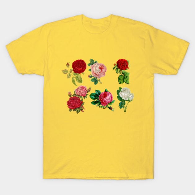 Roses pattern Art T-Shirt by Emart